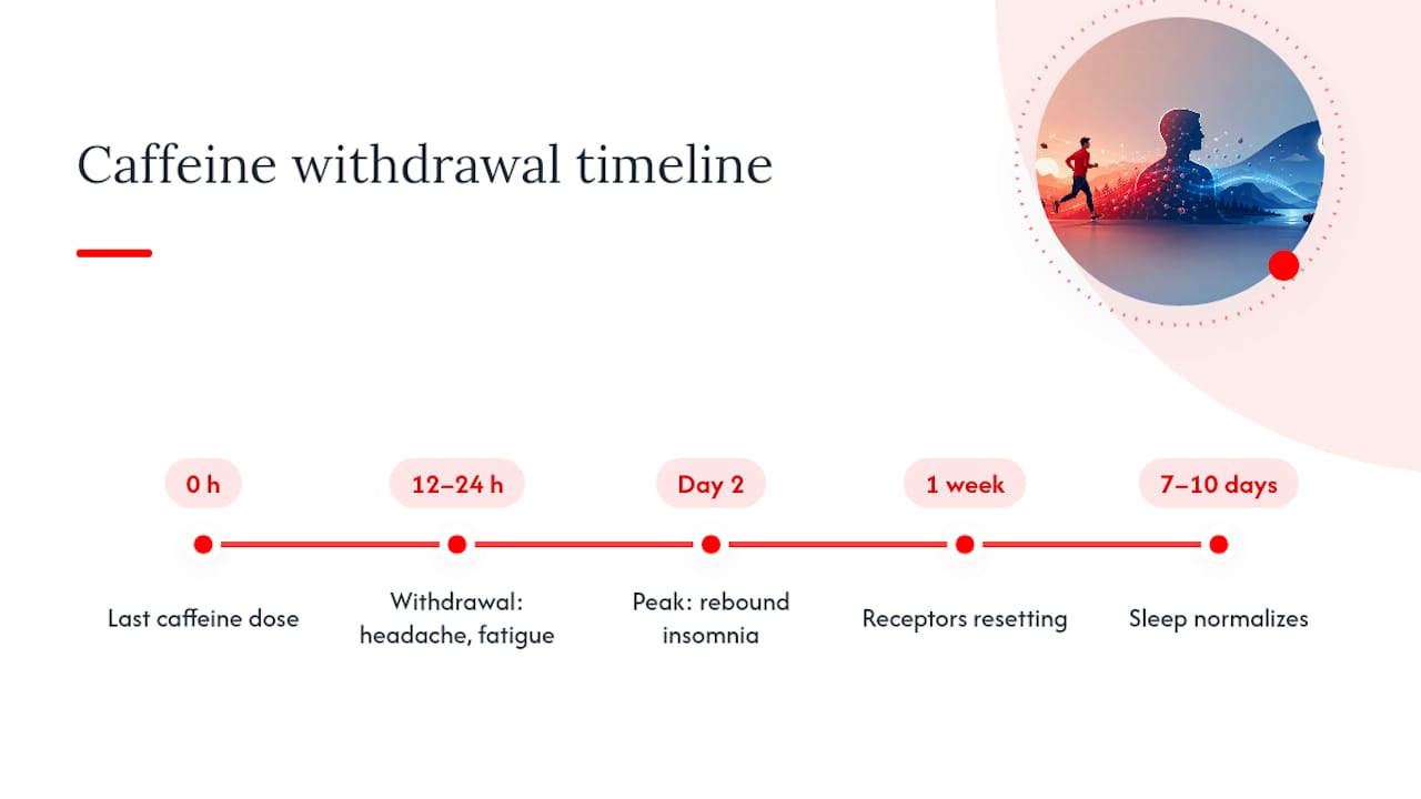 Caffeine withdrawal and sleep adjustment timeline