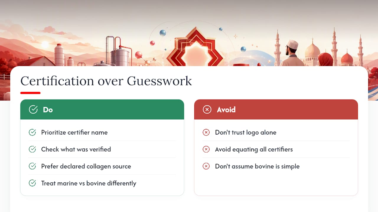 Why Certification Beats Guesswork Every Time — overview diagram