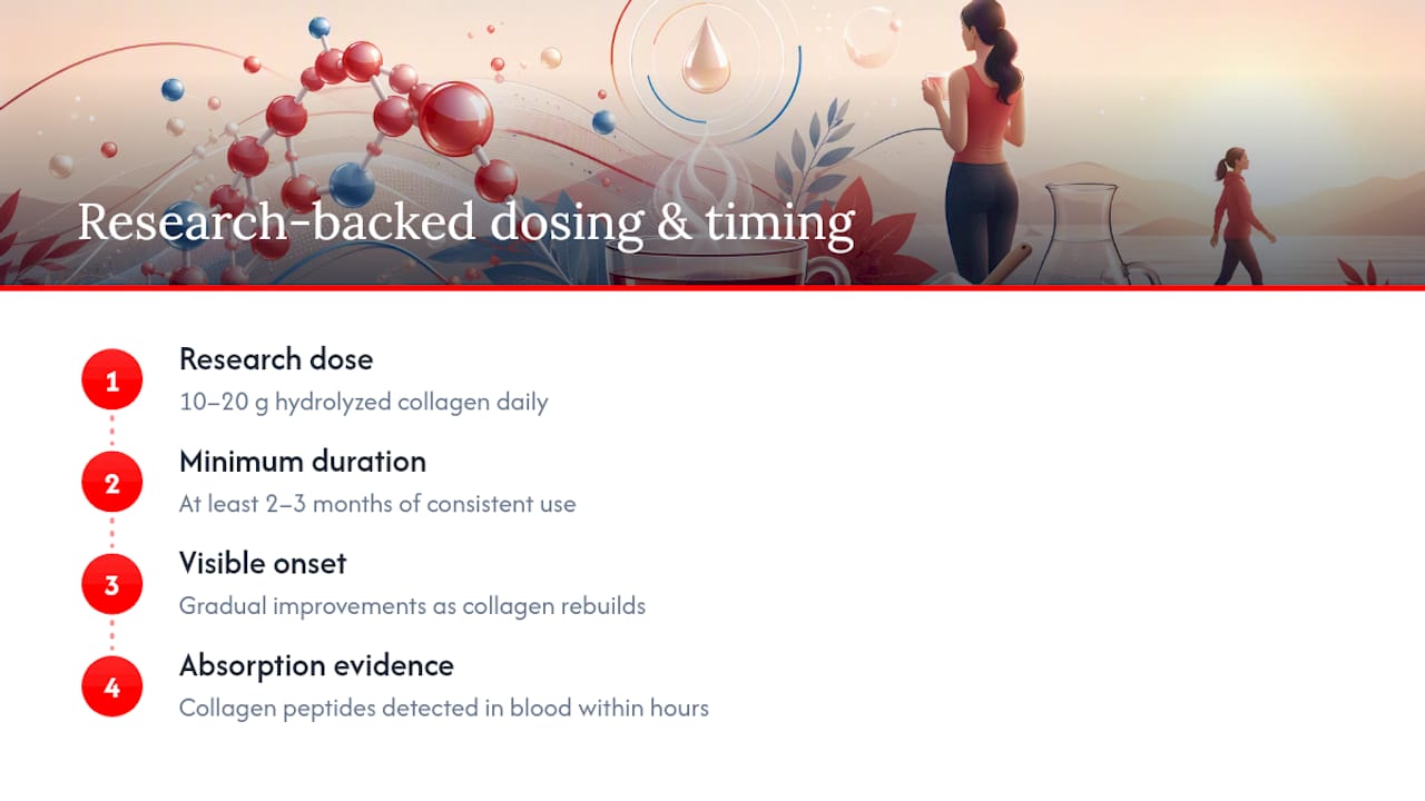 Collagen dose and research timeline
