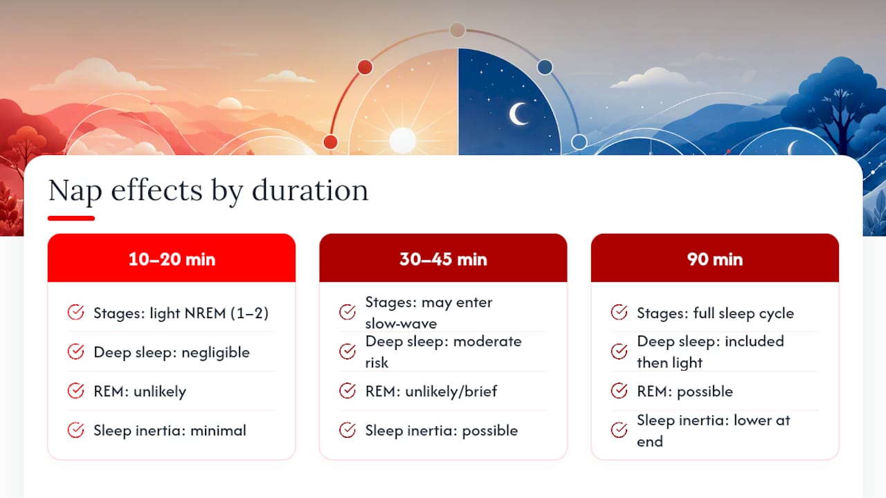 Nap lengths mapped to sleep stages and inertia