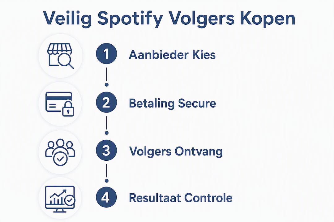 Heldere infographic die stap voor stap uitlegt hoe je op een veilige manier volgers kunt kopen