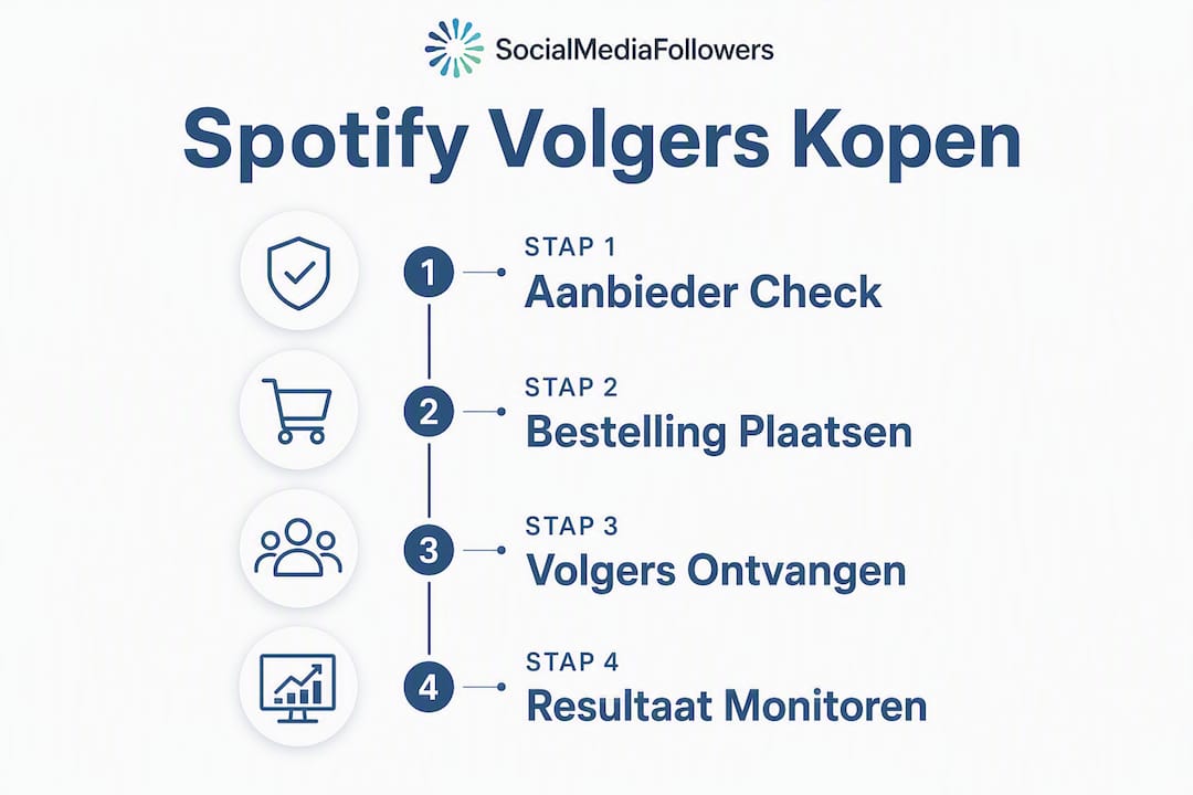 Infographic: zo koop je stap voor stap Spotify-volgers