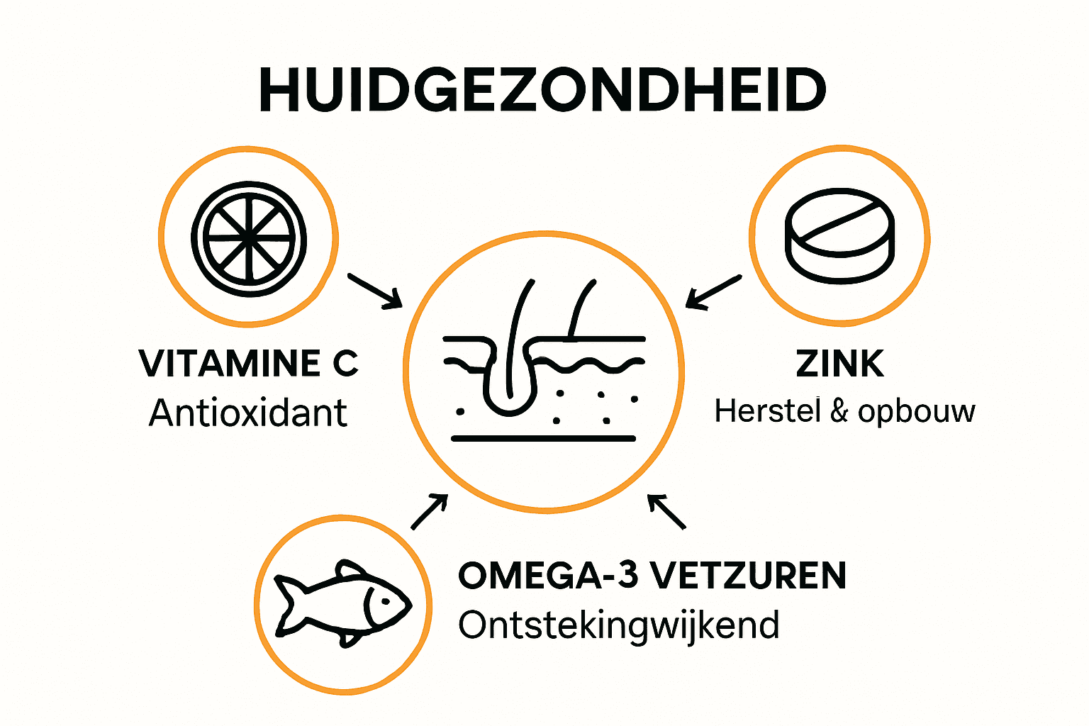 Infographic huidgezondheid: vitamine C, zink, omega-3
