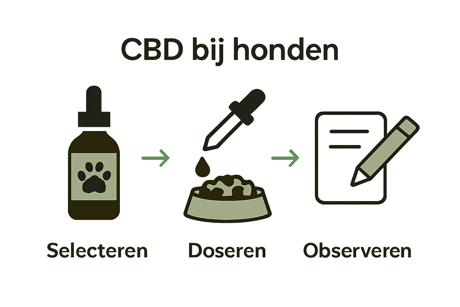 Stappenplan CBD bij honden: kiezen, doseren, observeren.