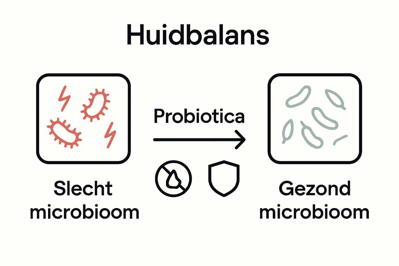 Visueel proces: probiotica herstellen huidmicrobioom