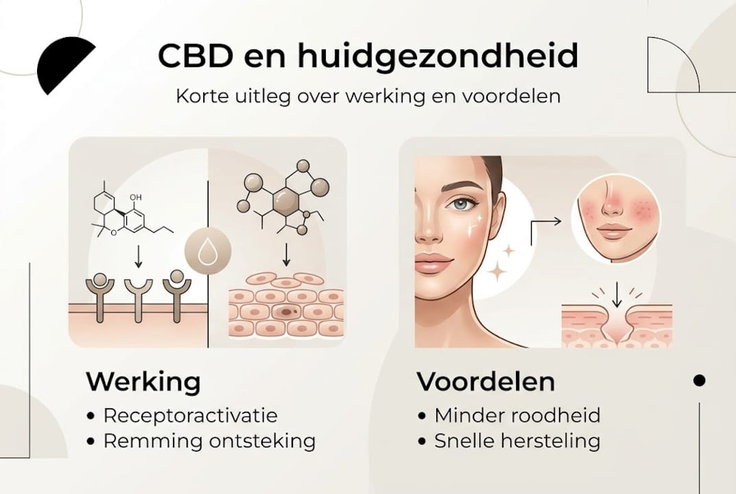 Strakke infographic: het effect van CBD op je huid