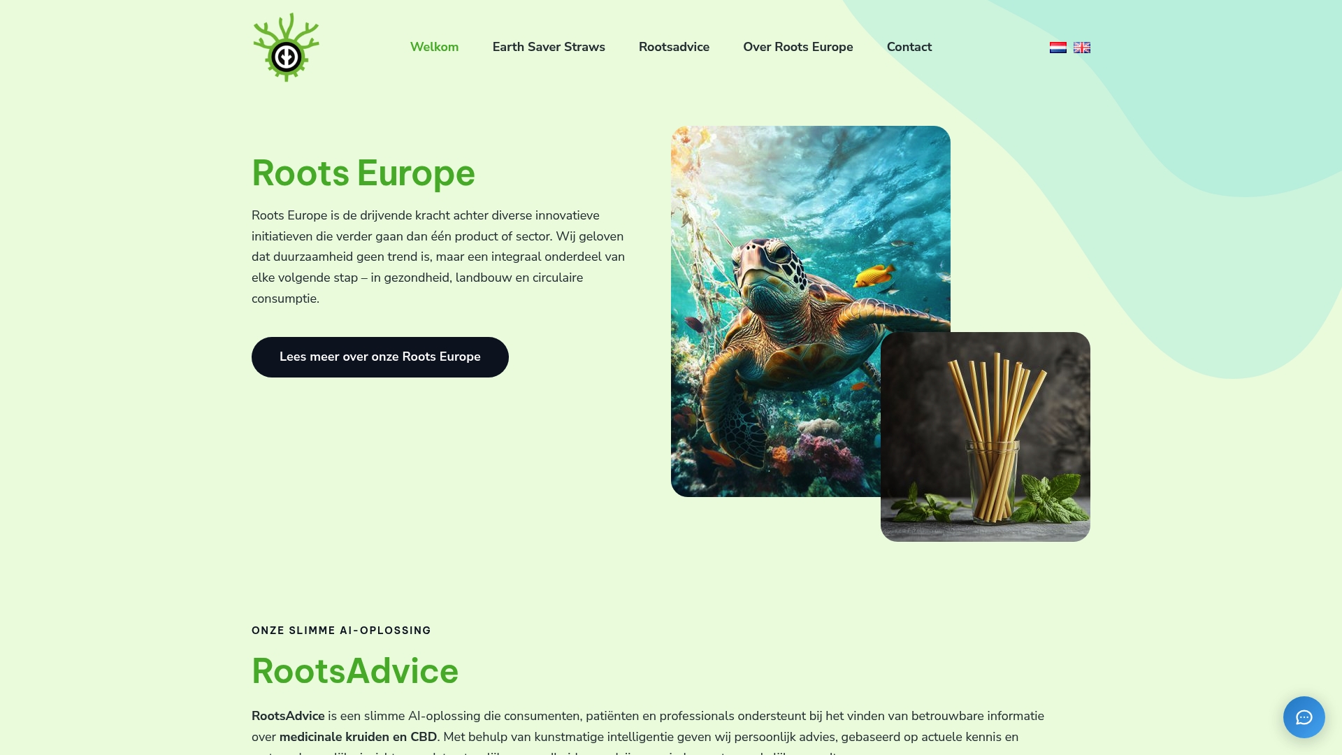 https://rootseuropa.nl
