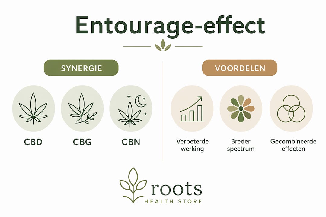 Infographic: het entourage-effect uitgelegd – over synergie en de voordelen die dit met zich meebrengt