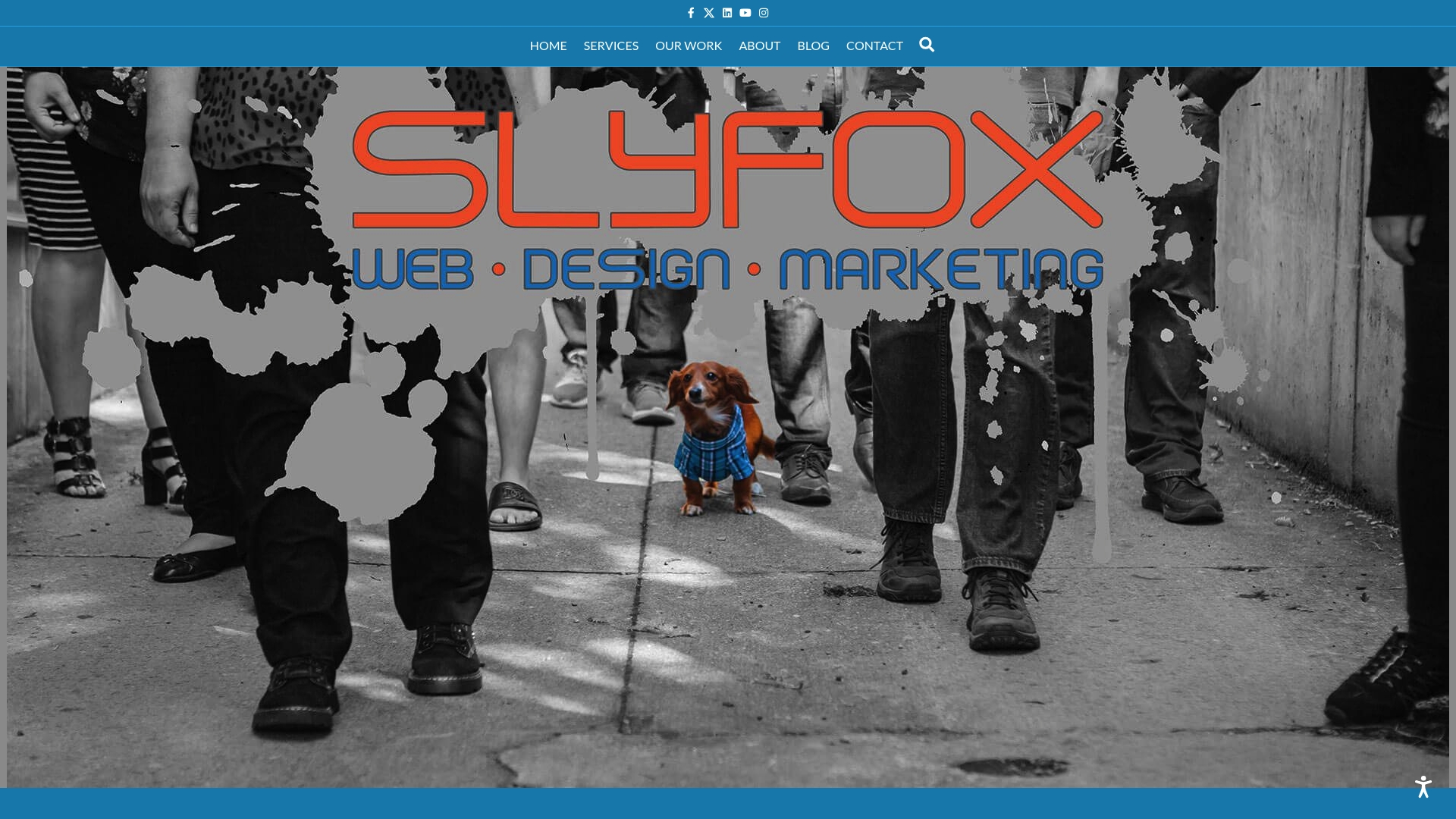 https://sly-fox.ca
