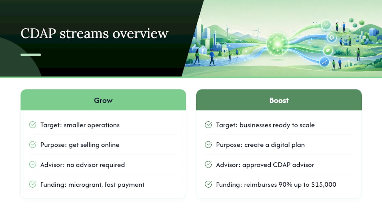 Diagram showing CDAP funding streams and targets