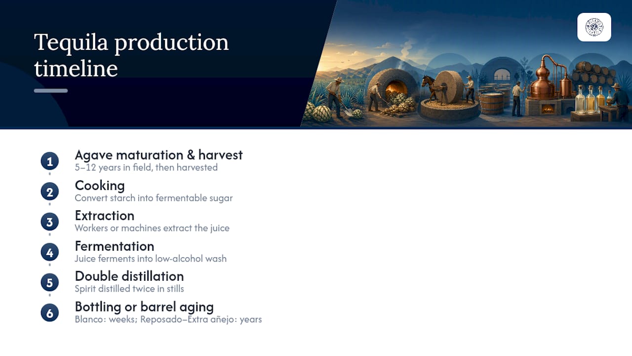 Timeline infographic of tequila production stages and durations