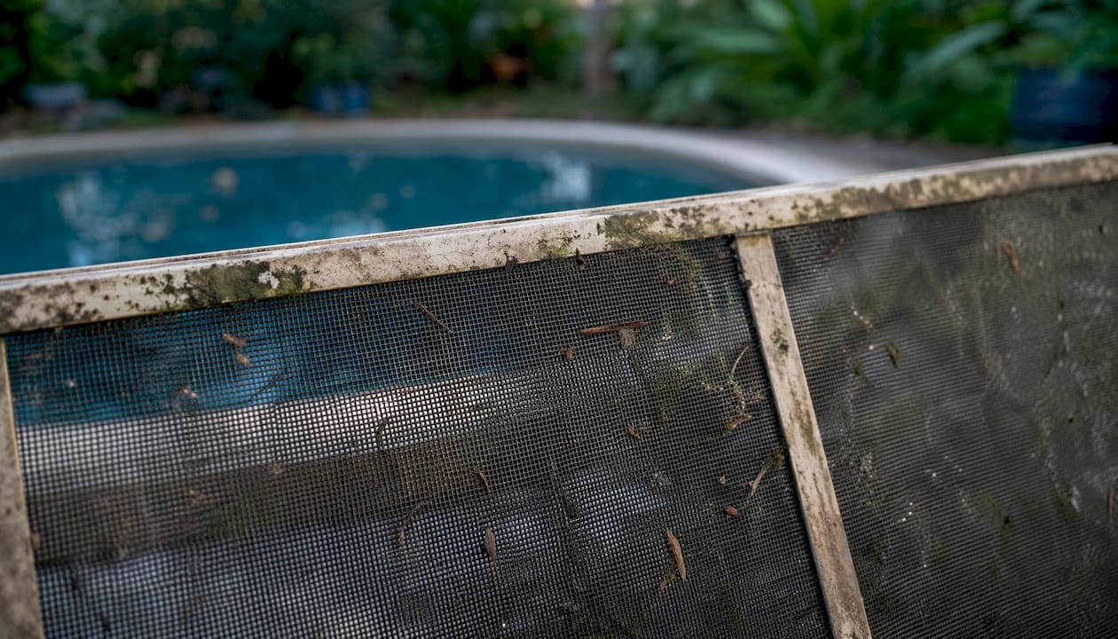 Close-up pool screen damage: algae and oxidation
