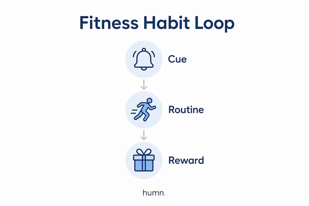 Infographic illustrating fitness habit loop components