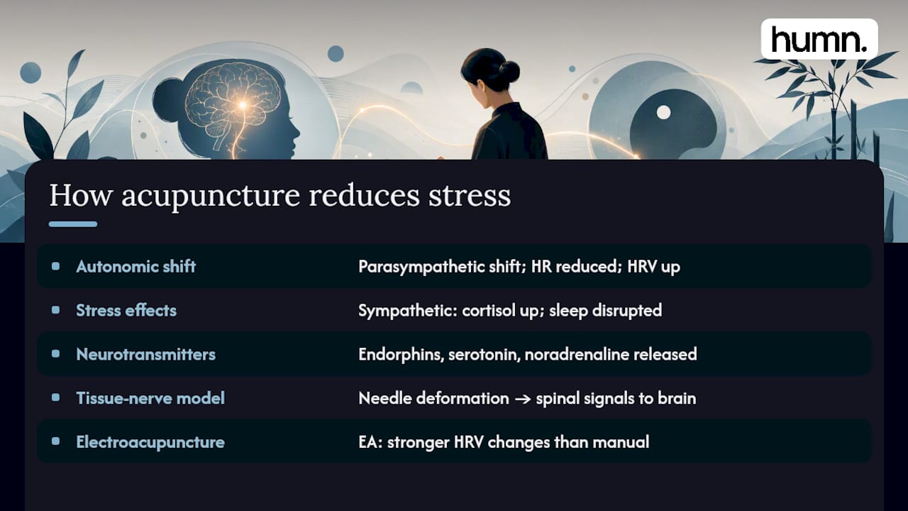 Diagram comparing sympathetic and parasympathetic nervous system effects