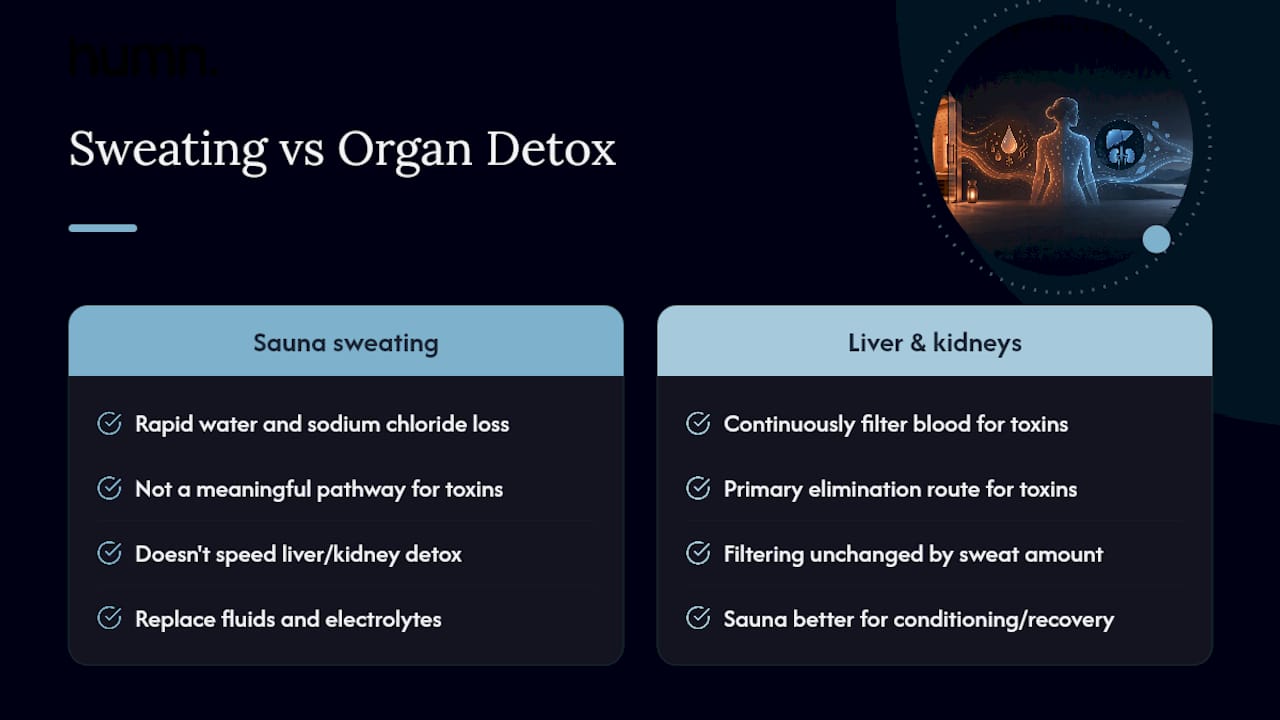 Sauna fluid loss versus normal detoxification