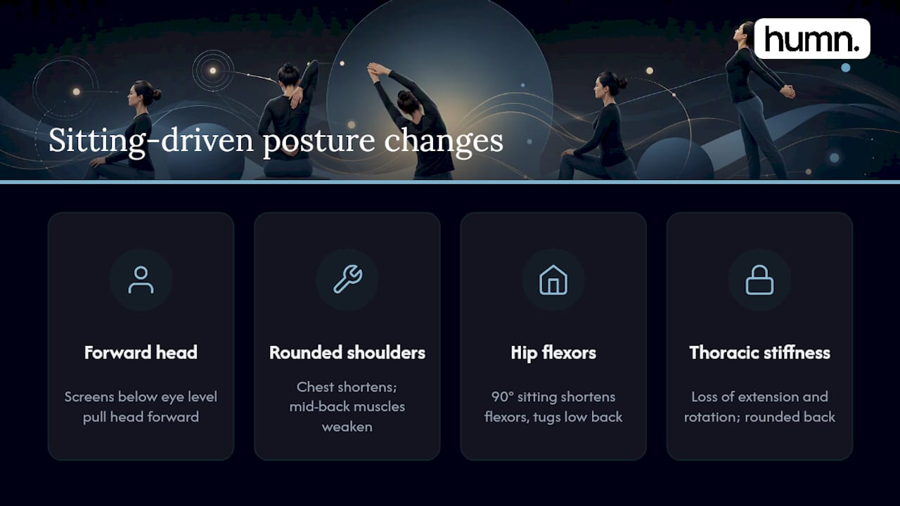 Why Desk Work Wrecks Your Posture — overview diagram