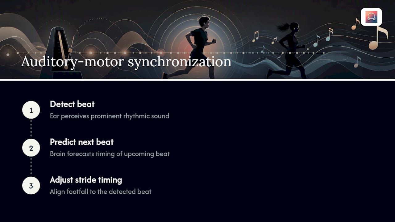 Three-step auditory motor synchronization process