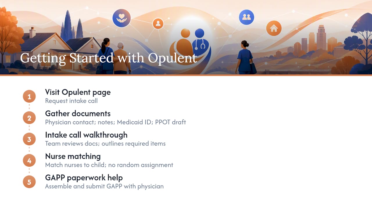 How Opulent Private Care Can Help You Get Started — overview diagram