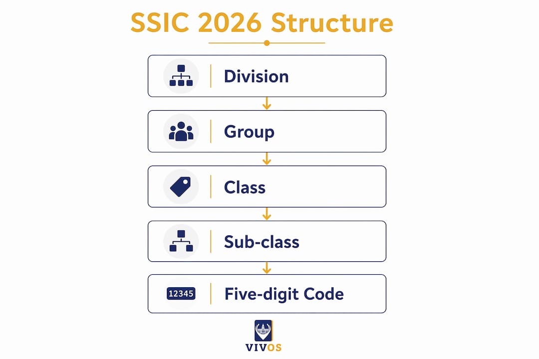 Infographic illustrating SSIC code classification flow from division to five-digit code