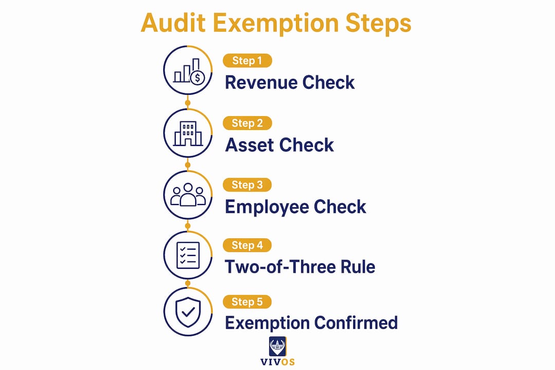 Infographic showing steps to qualify for audit exemption