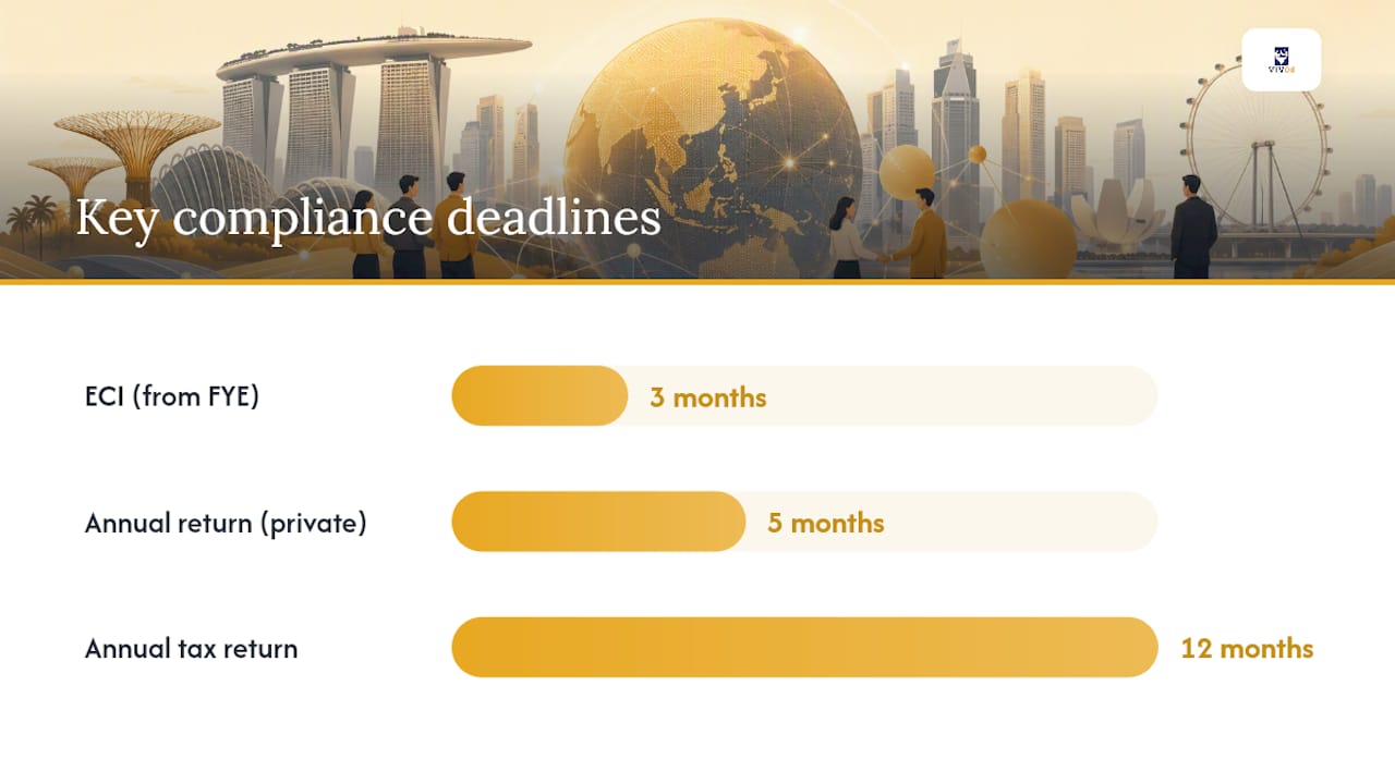 What ongoing compliance does a Singapore holding company require? — overview diagram