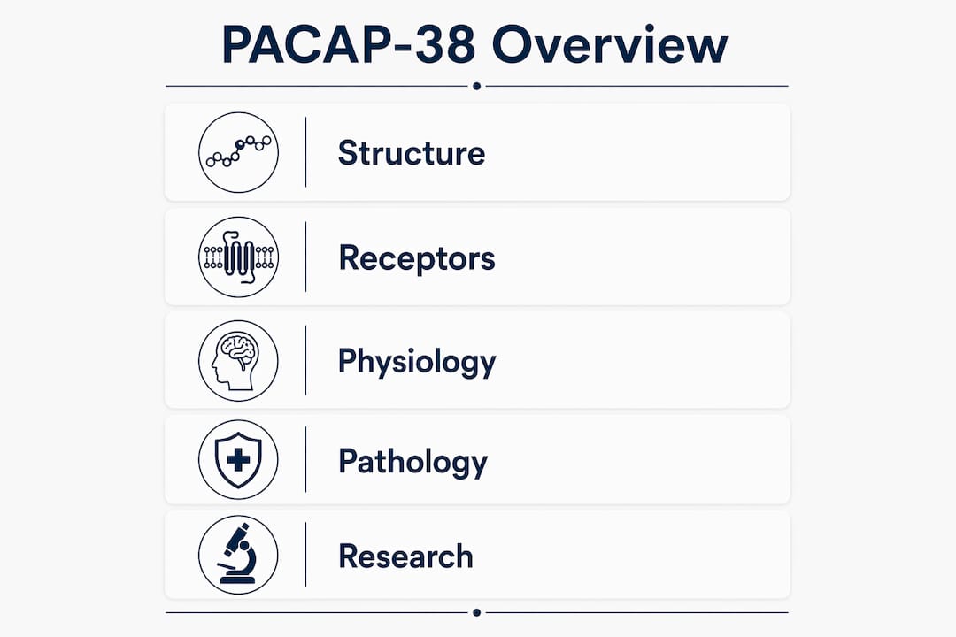 Infographic showing PACAP-38 research stages overview