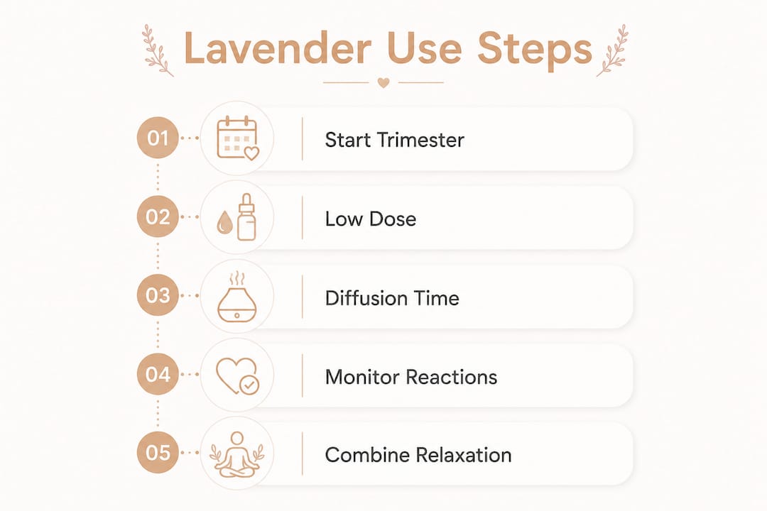 Infographic illustrating steps for safe lavender use in pregnancy