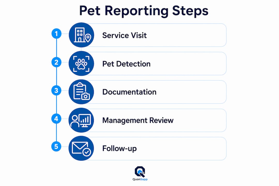 Infographic showing pet reporting process in maintenance visits