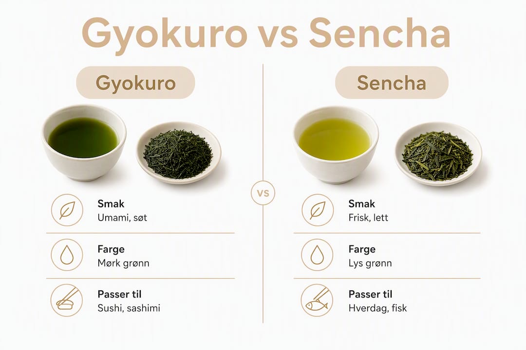 En oversiktlig infografikk som viser forskjellene mellom gyokuro og sencha te