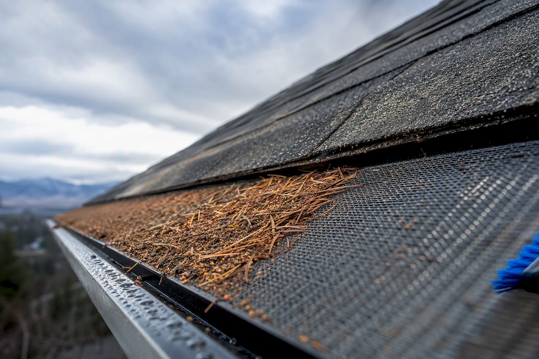 Homeowners: How Often to Clean Gutter Guards by Type and Tree Cover