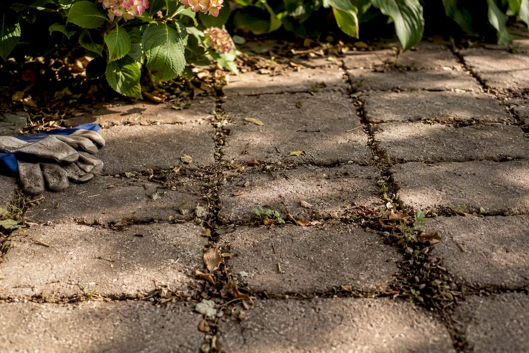 Clogged joints in permeable patio with debris