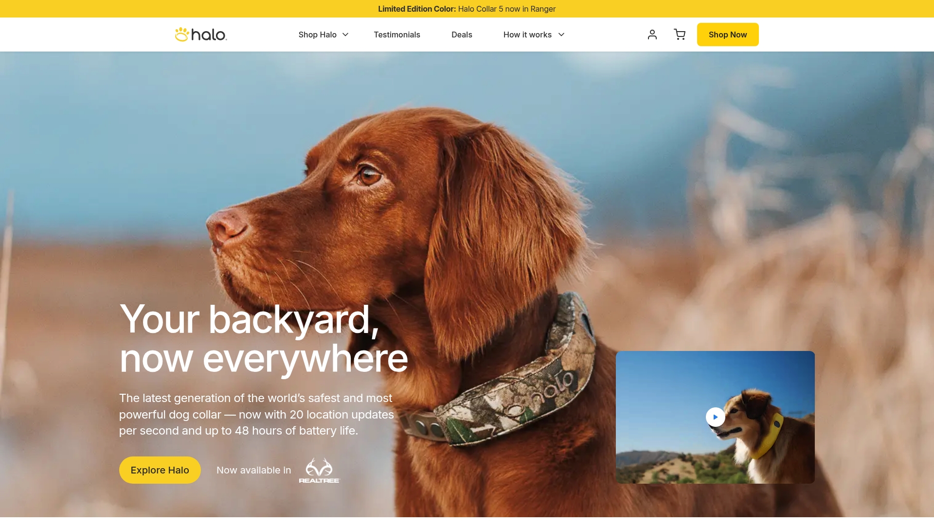 https://halocollar.com