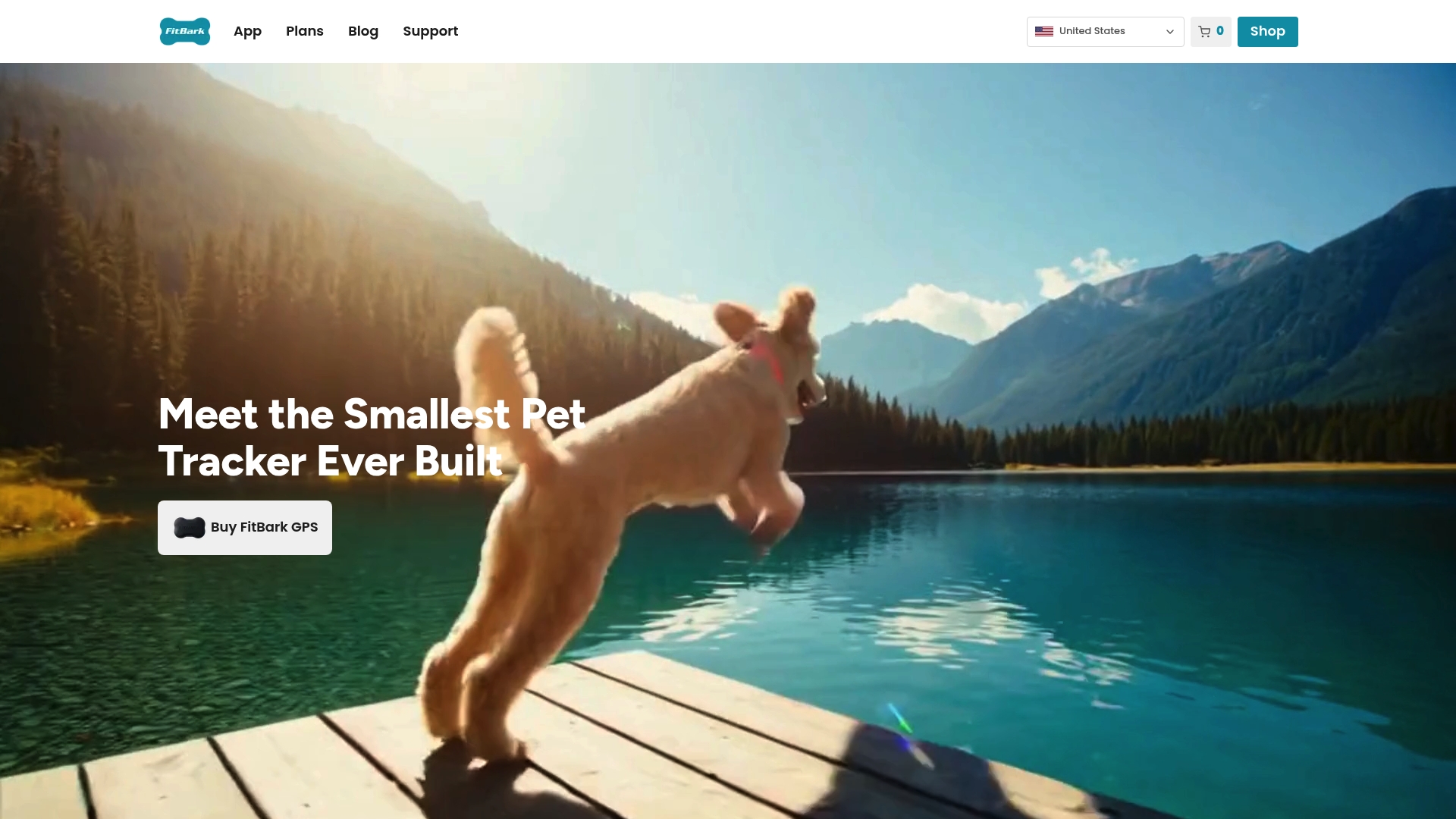https://fitbark.com