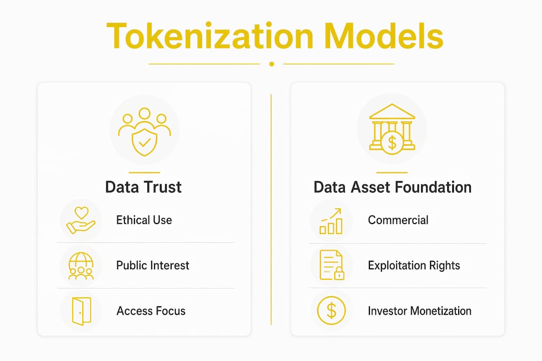 Infographic comparing data trust and data asset foundation