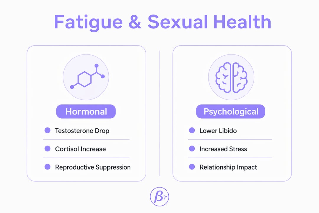 Infographic comparing hormonal and psychological fatigue effects