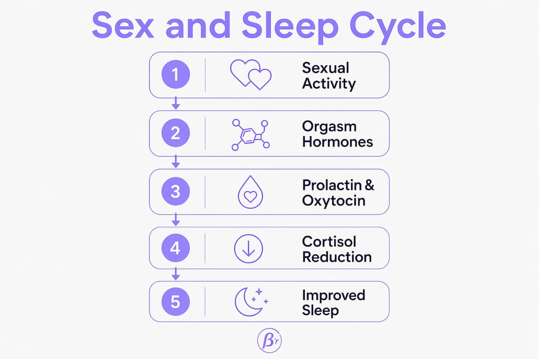 Infographic showing sexual activity's hormonal effects on sleep