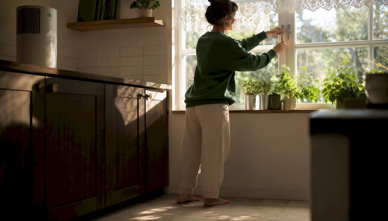 Open window and air purifier reducing cannabis odor indoors
