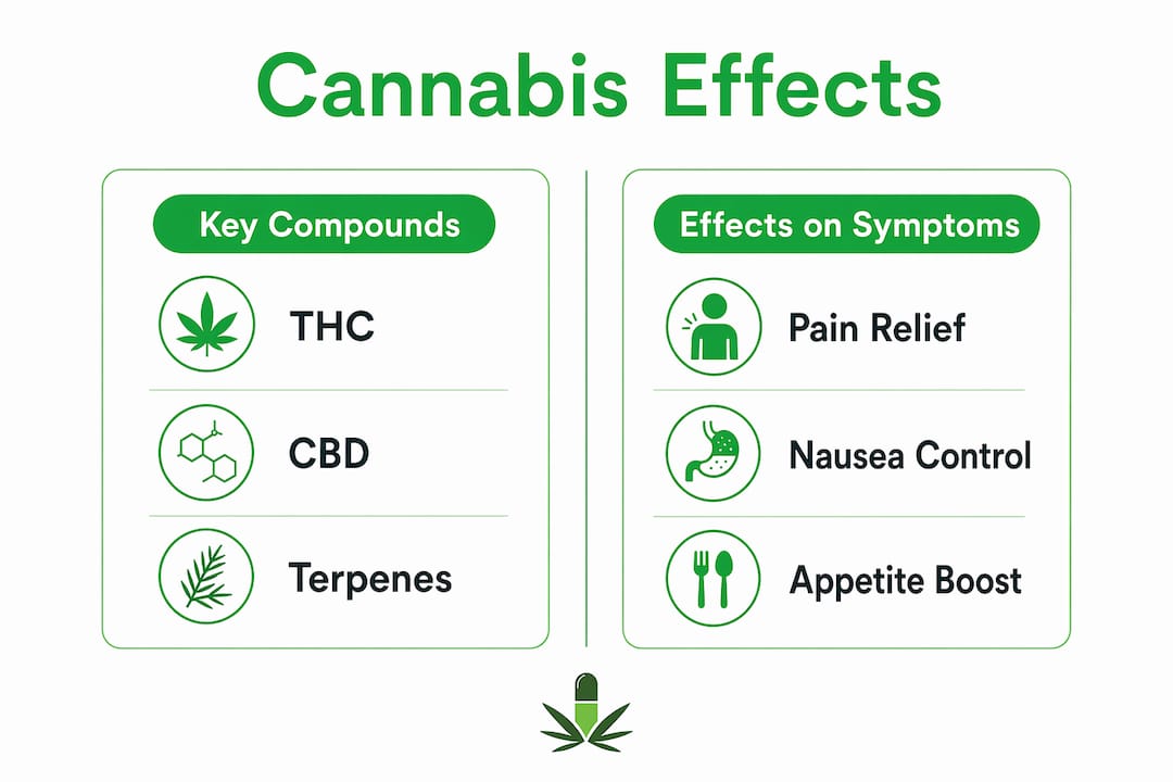 Infographic showing cannabis compounds and their effects on cancer symptoms