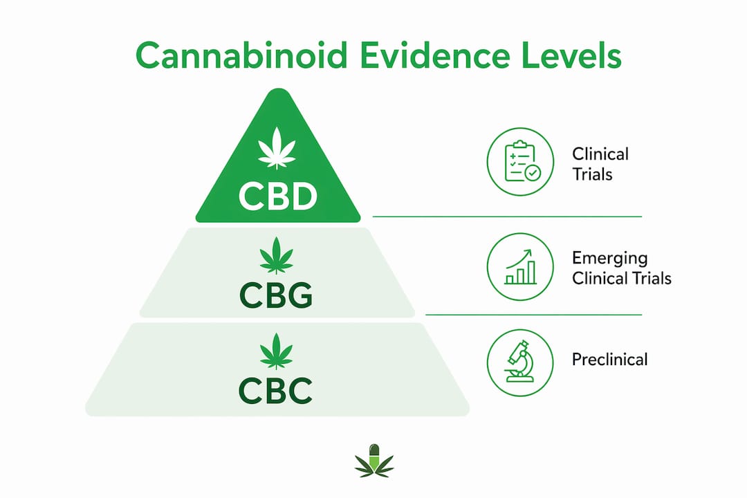 Infographic comparing clinical evidence of CBC, CBG, and CBD
