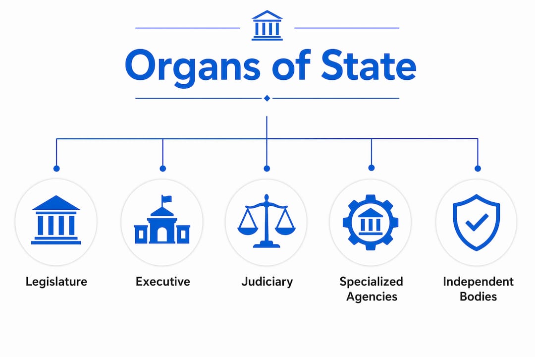 Infographic illustrating primary organs of state and related bodies