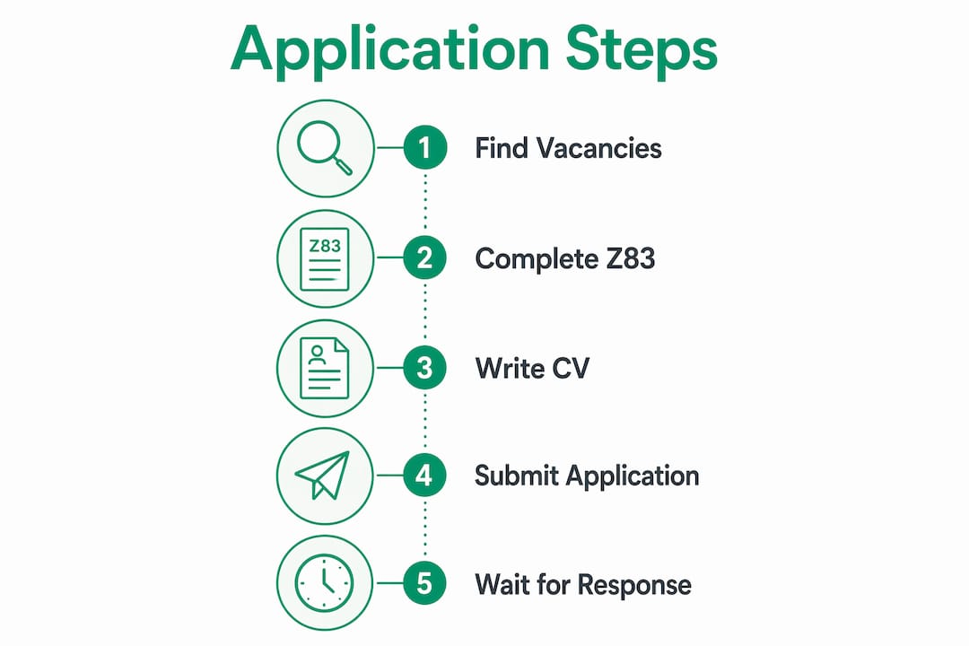 Infographic illustrating government job application steps