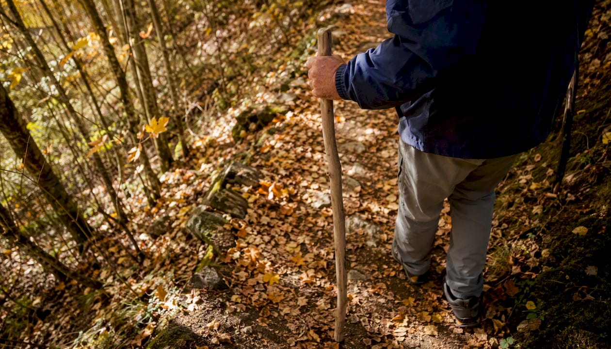 Person walking with wooden staff in forest