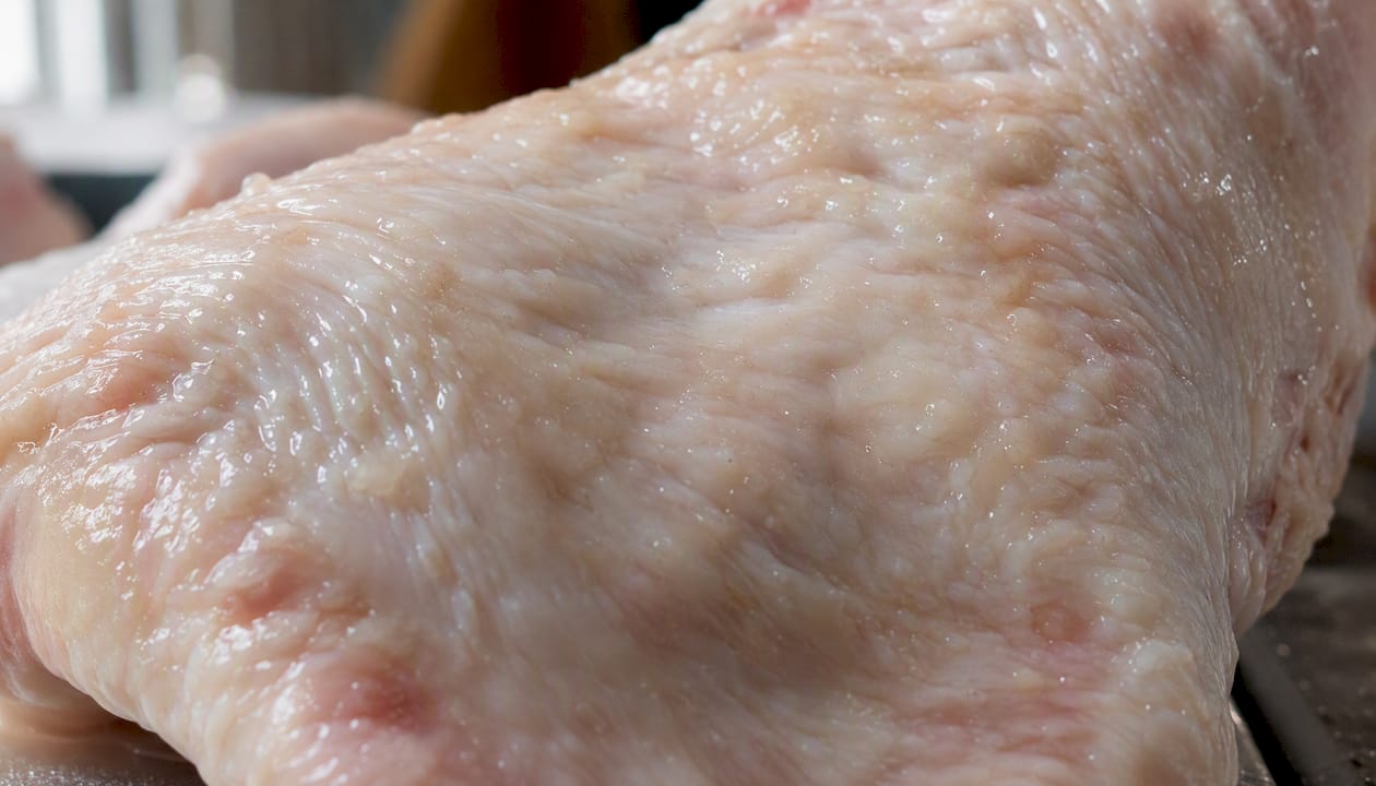 Close-up of raw chicken wing skin texture with fat
