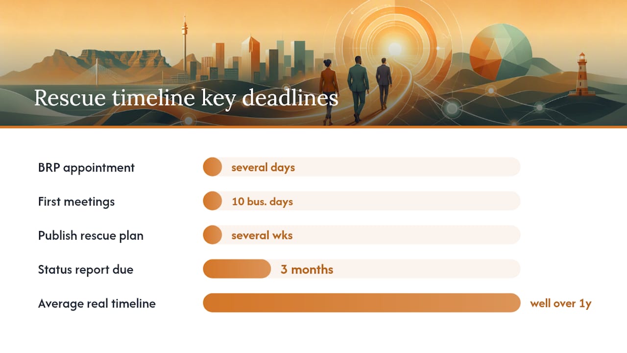 What is the timeline and which CIPC forms matter? — overview diagram