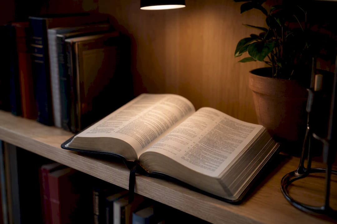 Geremia 29:11 significato: promessa collettiva, non magia personale