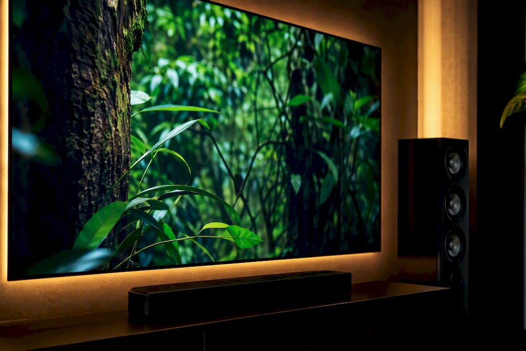 TV sfocata che mostra una scena vivida della natura