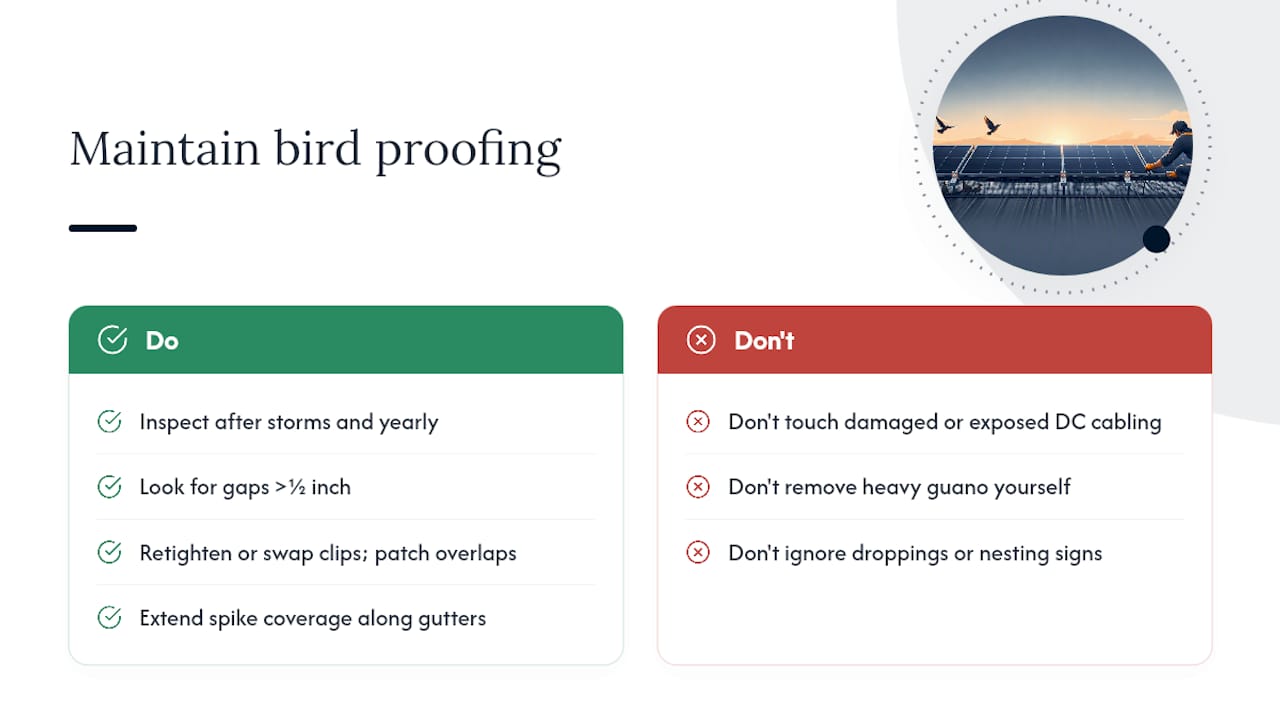 How do you maintain bird proofing over time? — overview diagram