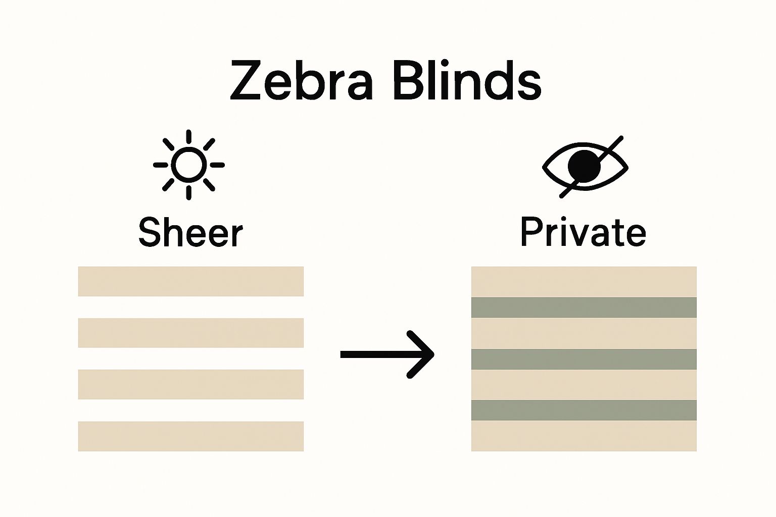 Infographic comparing zebra blinds sheer and private modes