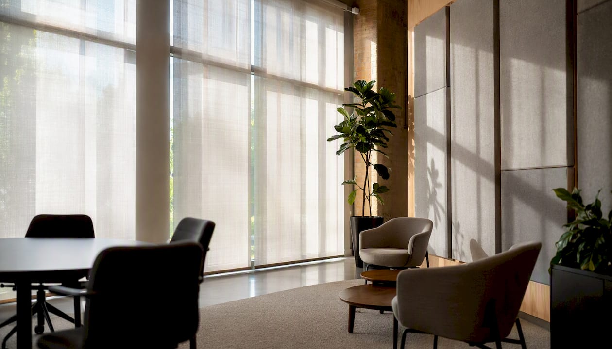 Sheer light-filtering shades in office collaboration space