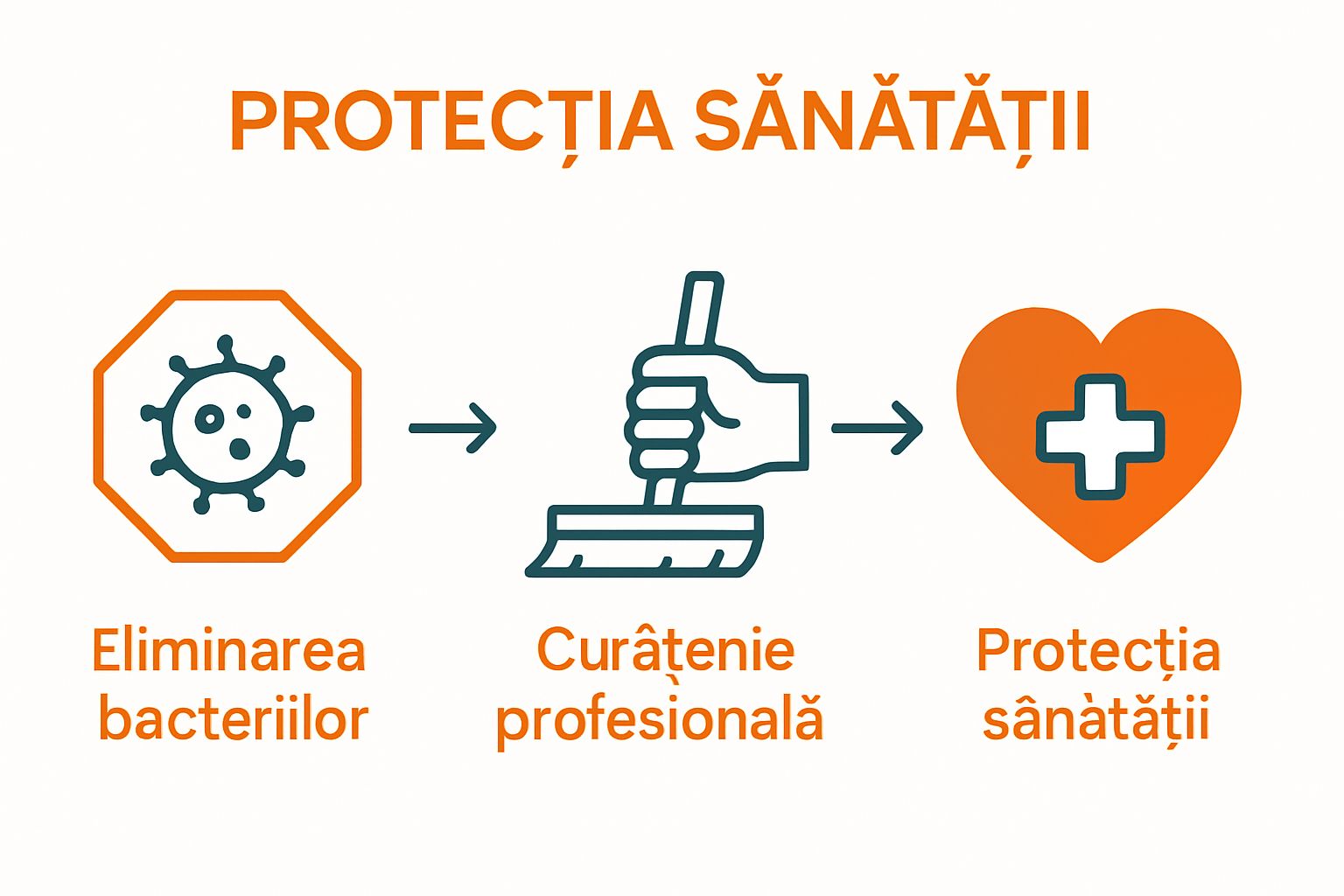 Infografic despre modul în care curățenia profesională reduce bacteriile și protejează sănătatea